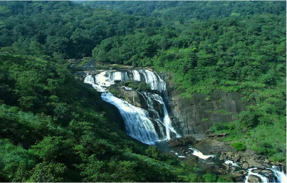 COORG